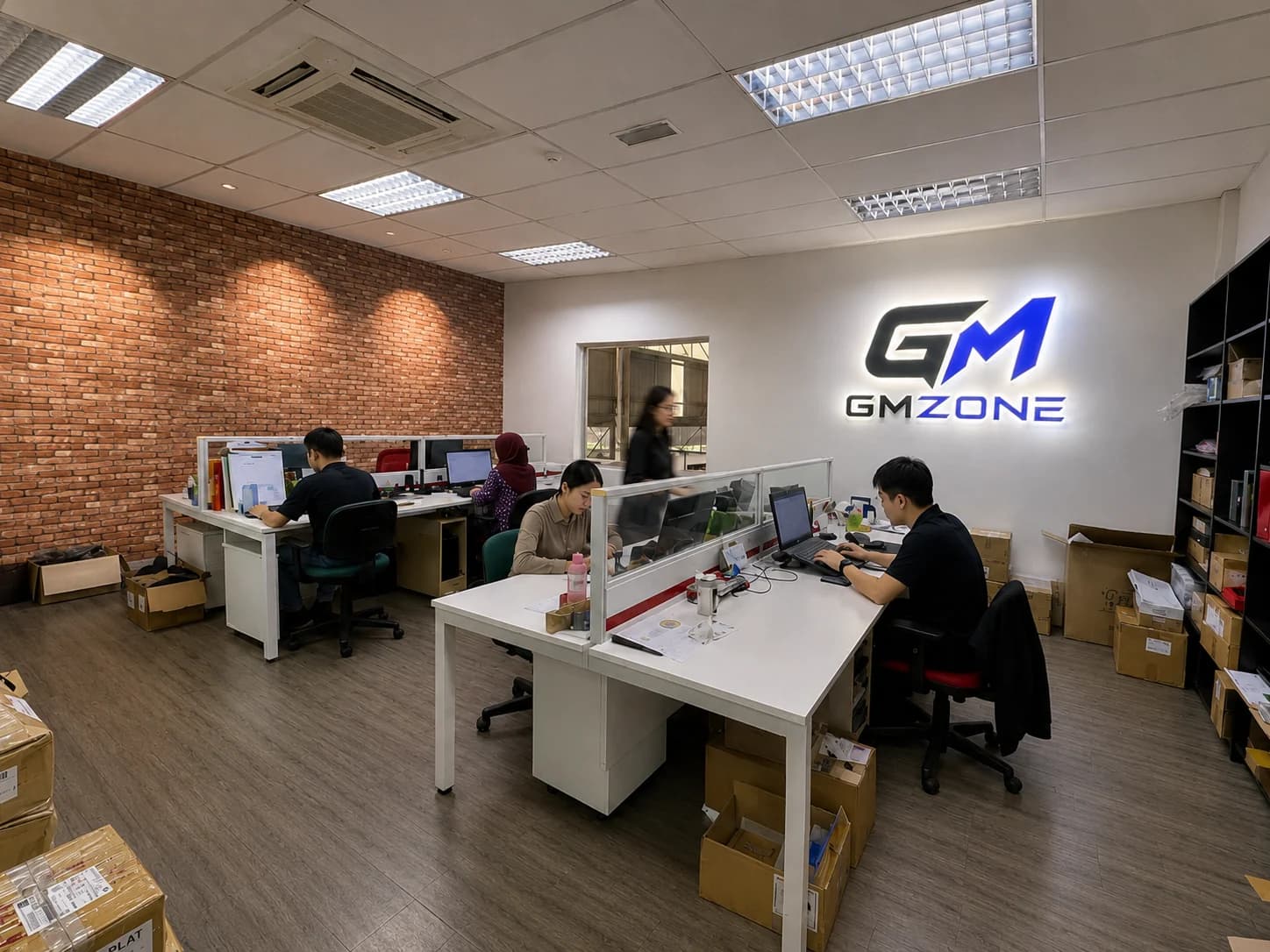 GMZONE operations process illustration
